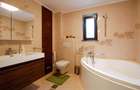Vila spatioasa  lux  Snagov - 12
