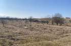 Teren 1000 mp | Zona Selimbar troita - 2