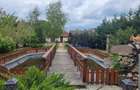 Oază de liniște cu "parc" privat în vatra satului - 14