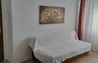 APARTAMENT 2 CAMERE DECOMANDAT, PACURARI, PISICA FRIENDLY - 3
