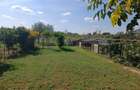casa cu curte si gradina mare - 2
