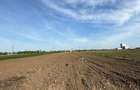 Investitie Crevedia | Teren 5000 mp |  Posibilitate Extindere la 8000 mp - 3