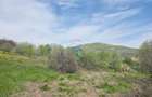Teren 1,000mp Piatra-Neamt / Zona Fermelor - 6