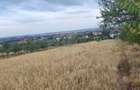 TEREN INTRAVILAN//PAULESTI//2930MP - 3