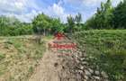 Teren intravilan in Poiana Campina--1954mp--23.500e - 6