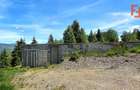 Teren intravilan pretabil constructii de vanzare in Costesti (Albac), Jud. Alba - 5