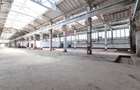 Teren industrial 35.000 mp cu hale de productie Craiova - 6