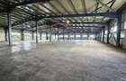 Complex industrial de vanzare – Aricestii Rahtivani, Prahova - 12007mp - 5