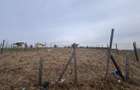 Teren intravilan pregatit pentru constructie 650 mp | Cisnadie - 2