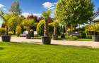 Afacere la cheie Brasov-Cazare, evenimente, wellness si agrement - 6