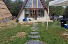 Casa de vacanta tip A- frame -Tohanita, zona superba se vinde la cheie - 1