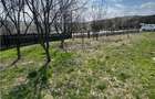 Teren Parcelabil I 11400 MP I Corpadea - 7