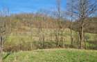 Proprietar vand casa+ teren 13000mp, Steia, Tomesti, jud. Hunedoara, 20km de Bra - 16