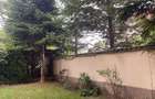 Iancu Nicolae 6 bedrooms villa - 6