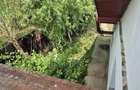 Proprietate deosebita de vanzare | Casa, 13.200 mp teren, doua iazuri cu peste | - 22