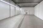 Showroom / hala depozitare str. Plevnei - 2