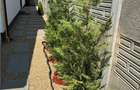 Duplex partial mobilat - zona buna - curte amenajata - 4