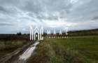 Teren | 3700 mp | Deschidere la DN | Intrare Vestem – Sibiu - 4
