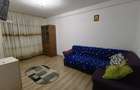 Apartament-2-camere-LUICA-PARTER-INALT - 3