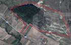 Teren 40 Hectare, Locuinta, 3 lacuri, zona Alunis - 1