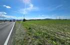Vanzare teren industrial comercial 18.000 mp - 9