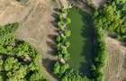 Teisori domeniul verde cu baltă de pește ,Neajlov,,Padure - 5