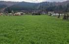 Vindem teren in Vatra Moldovitei - Bucovina - 7