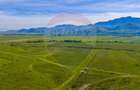 Teren 1ha, extravilan Rasnov / Agricultură sau fermă/ COMISION 0% - 7