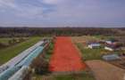 NUCI - BALTA NEAGRA, LOT 3900 MP, LA PADURE! - 10