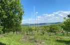 Teren premium 1000 mp-Sibiel - 3