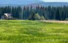 Teren parțial intravilan 30,930 mp Poiana Stampei-DN E58, Suceava - 1