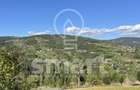Teren de vânzare  1000 mp  Mătișești zona Belis Marisel in Parc Natural Apuseni - 5