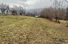 Teren Moieciu cu vedere catre Paitra Craiului - 5