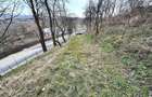 Teren de vanzare Blagesti Bacau - 3