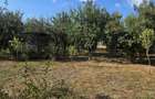 Casă și teren de vânzare – Zona Careiului - 18