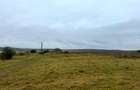 Vanzare 10.000 mp teren Liteni Suceava- la strada -potrivit proiect fonduri - 6