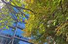 Pod Baneasa - spatiu renovat in cladire de birouri - 3