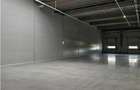 Spatiu Industrial - 2500 mp - Productie - Depozitare - Distributie - 3