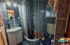 Apartament cu 4 camere parter Siderurgistilor Vest, - 8