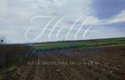 Teren 3700 mp, Intravilan Comana, sat Budeni, Jud. Giurgiu