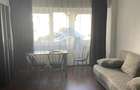 Apartament 1 camera, Manastur - 1
