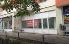 Inchiriere spatiu comercial Teiul Doamnei - 5