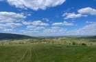 TEREN | BALNACA | 6301MP | BIHOR - 2
