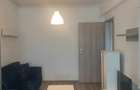 Apartament de 2 camere, decomandat, 50 mp, zona Pacii, pet frendly - 3