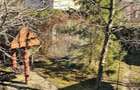 Casă solidă din cărămidă, mobilată, garaj, teren generos – Tarcău - 54