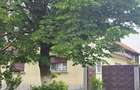 Aproape de Marginimea Sibiului, casa in inima unui parc - 2