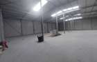 Ovidiu, parc industrial, constructie 2025, 120-1160 mp. - 4