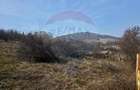 Teren 1,000mp Piatra-Neamt / Zona Fermelor - 3