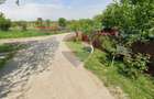 Vanzare teren extravilan 28800 mp,  sat Posta, jud Giurgiu - 5