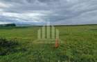 Teren intravilan | De vanzare | 450 mp | 14 ml deschidere | Partos - 2